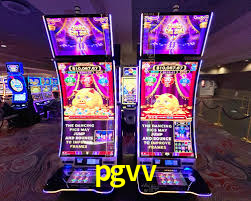 Programa VIP pgvv