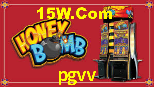 Premium Interface pgvv