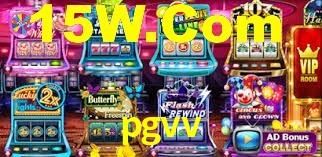 Premium Interface pgvv