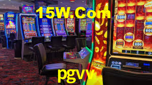 pgvv: A Experiência de Casino com Jogos de Mesa ao Vivo